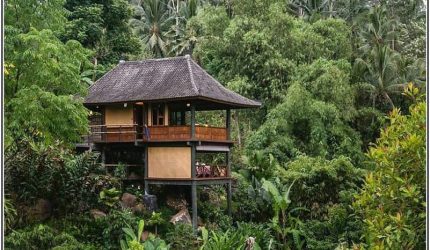 thiết kế farmstay sử dụng cây cối bản địa