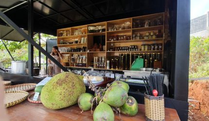 đầu tư farmstay 2