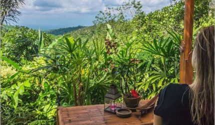 chiến lược phát triền farmstay