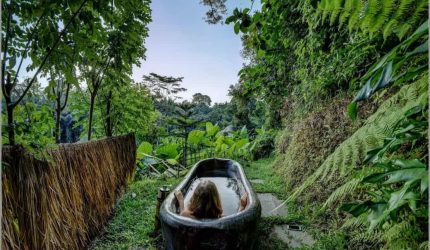 Phòng tắm farmstay