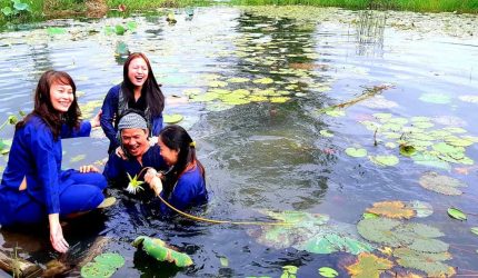 Lời Kết Của Defarm