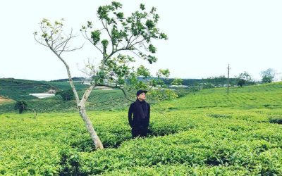 farmstay,kinh nghiệm làm farmstay,kinh doanh farmstay,đầu tư farmstay,chày lập farmstay,sơn tịnh farmstay,farmstay đẹp,farmstay ở việt nam